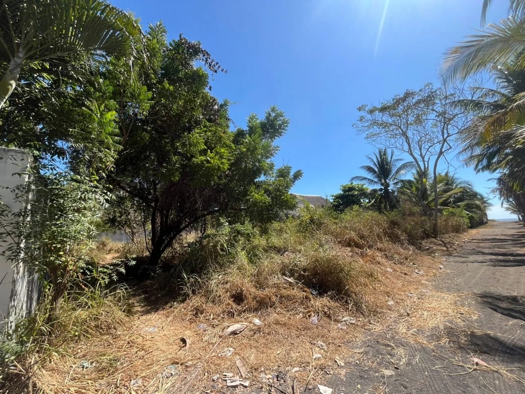 TERRENO EN VENTA MONTERRICO — foto 3 de 4