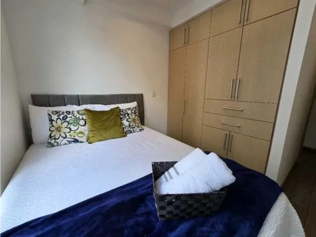 APARTAMENTO AMUEBLADO ZONA 10 — foto 4 de 9